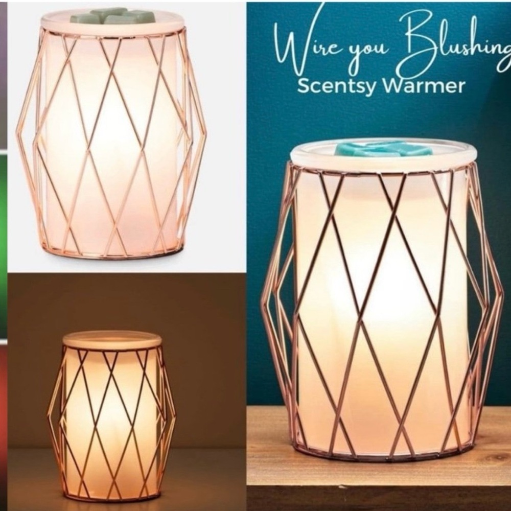 Scentsy  Wire are you Blushing warmer